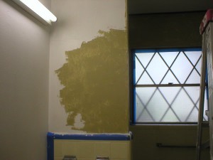 Venetian Plaster