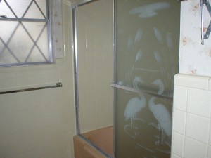 Swan Shower Door